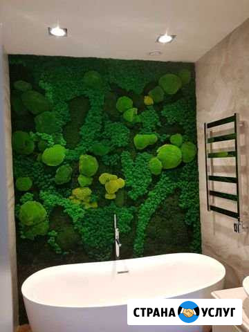 Вертикальное озеленение Казань - изображение 1