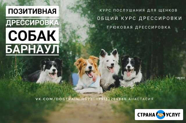 Дрессировка и передержка собак Барнаул - изображение 1