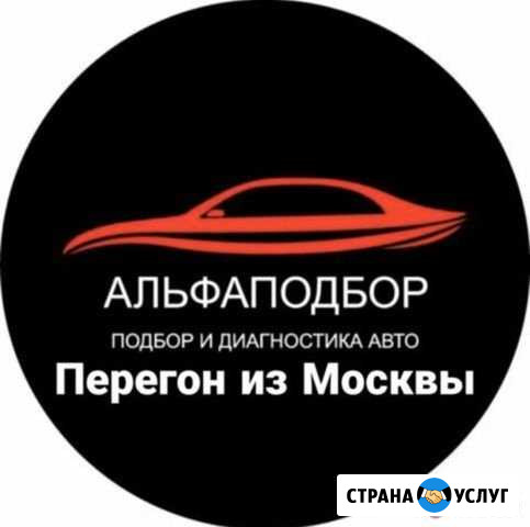Подбор авто Краснодар - изображение 1