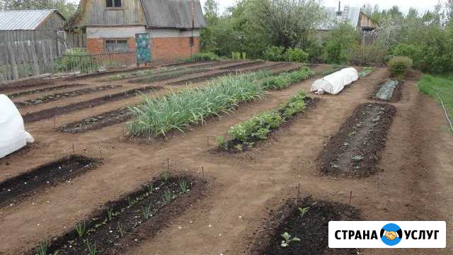 Овощеводство на узких грядках Новый - изображение 1