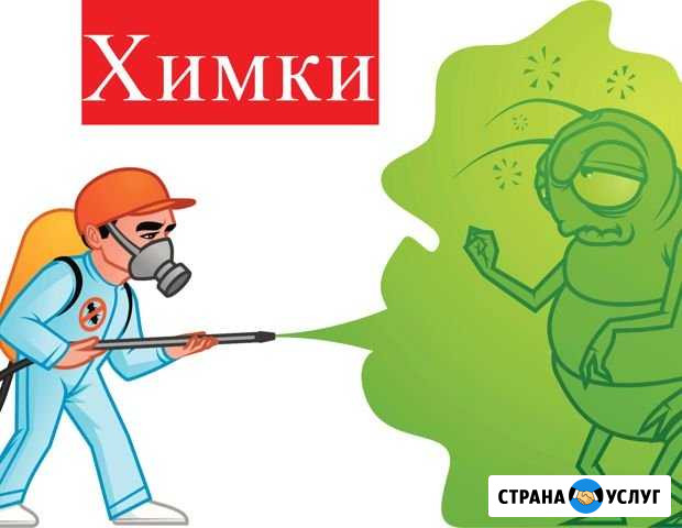 Уничтожение Тараканов Клопов Муравьев Короеда Химки - изображение 1