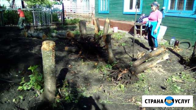 Уборка участка, спил и выкорчевка деревьев Ульяновск - изображение 1
