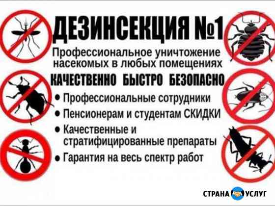 Уничтожение клопов тараканов муравьёв Новосибирск