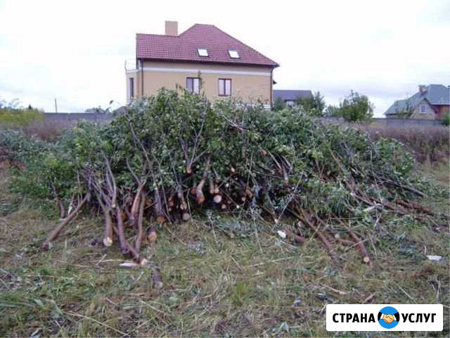 Спил деревьев любой сложности,насаждений Красноярск - изображение 1