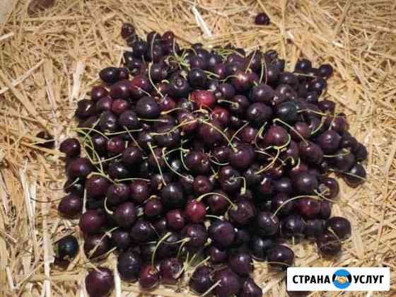 Продукты Московский