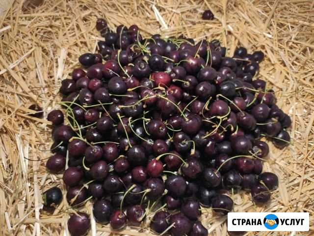 Продукты Московский - изображение 1