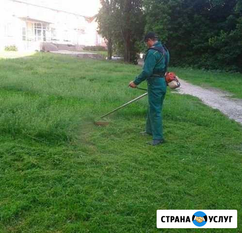 Профессиональный спил деревьев, чистка просеки Челябинск - изображение 1