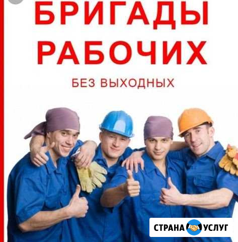 Услуги разнорабочих Норильск - изображение 1