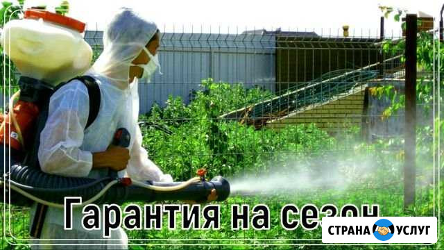 Обработка участка от клещей, кротов, борщевика, ос Бронницы - изображение 1