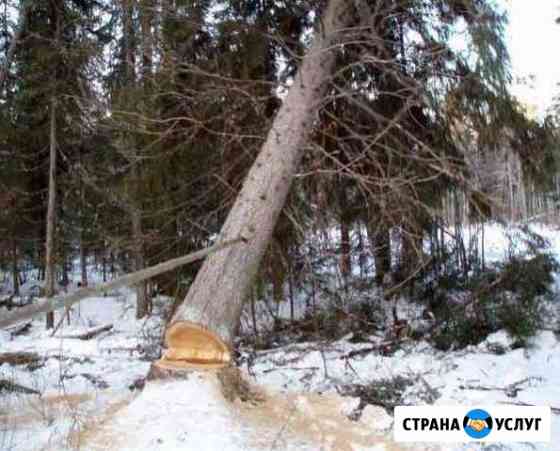 Заготовка леса Екатеринбург