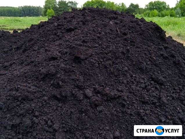 Продажа чернозёма Совхоз Селезнёвский - изображение 1