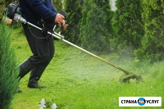 Покос травы кустарников Смоленск - изображение 1