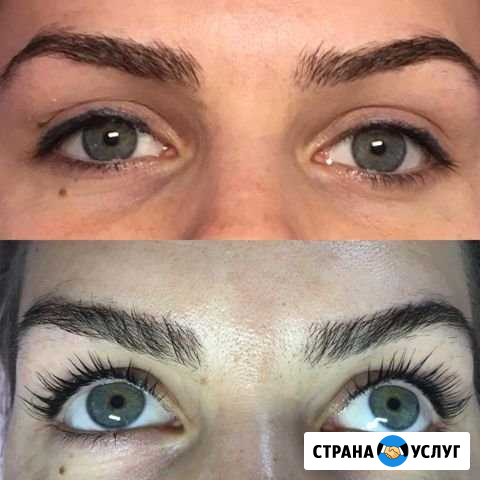 Ламинирование бровей и ресниц, коррекция и окрашив Санкт-Петербург - изображение 1
