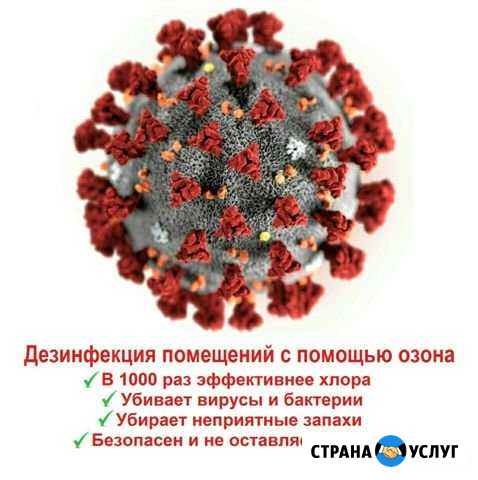 Противовирусная Дезинфекция, Озонирование Хабаровск - изображение 1