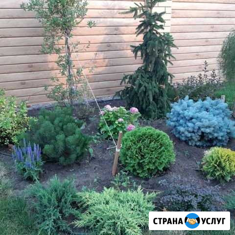 Озеленение, Садовник, Дизайн Ростов-на-Дону - изображение 1