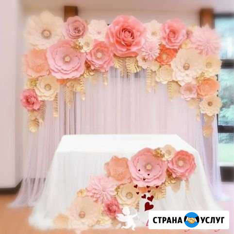 Свадьба Балаково Балаково - изображение 1
