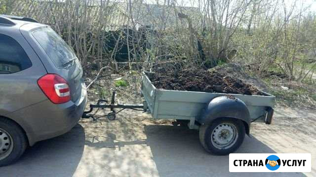 Доставка Димитровград - изображение 1
