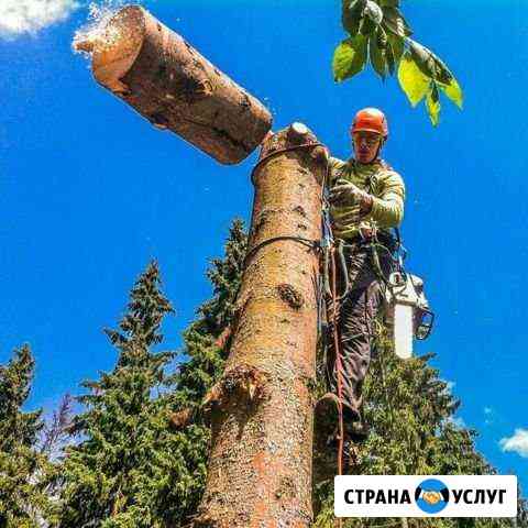 Спил деревьев,кронирование деревьев,вывоз мусора Самара