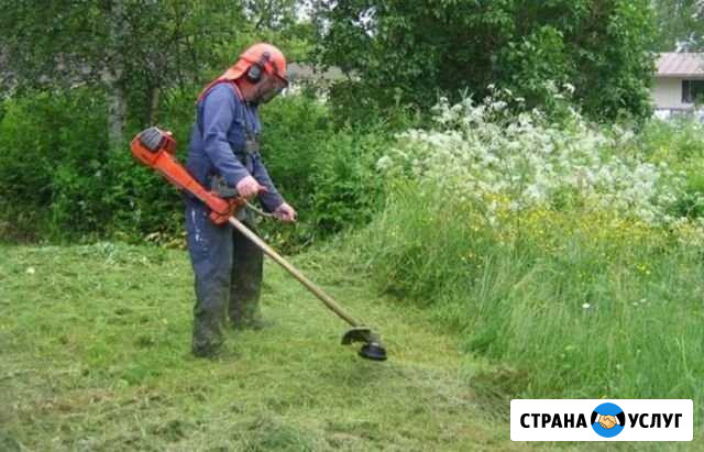 Покос травы,уборка территории,спил деревьев Гиагинская - изображение 1