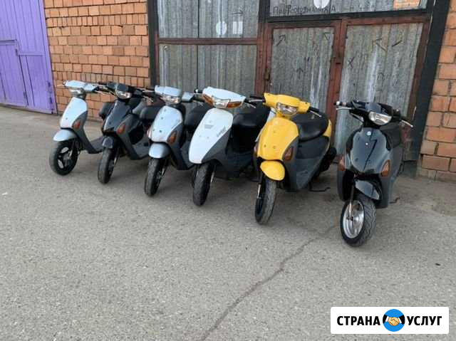 Прокат Японских скутеров Стерлитамак - изображение 1