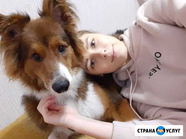Передержка / гостиница для животных Белгород - изображение 1