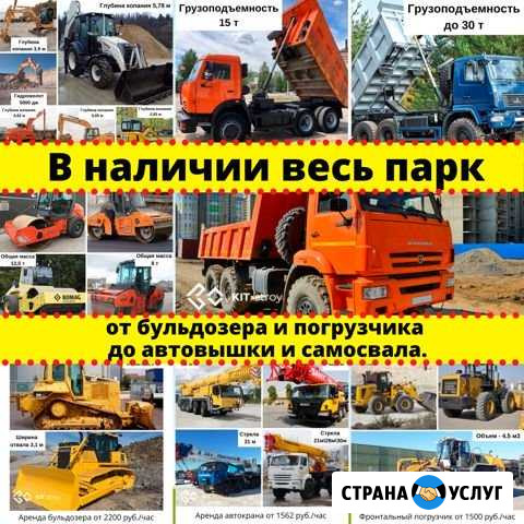 Аренда спецтехники (весь парк в наличии), спб+Обл Красное Село - изображение 1