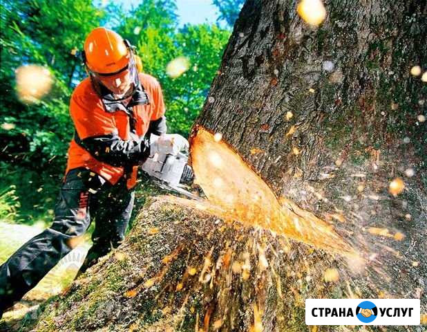 Спил деревьев и кустарников Нижнекамск - изображение 1