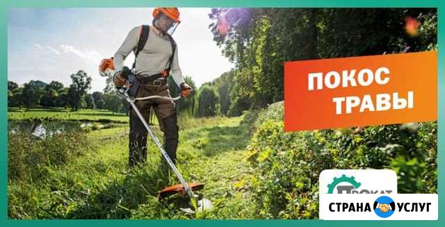 Услуги по уходу за участком Кстово - изображение 1
