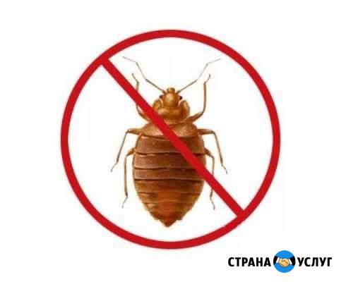 Услуги дезинфектора Чебоксары - изображение 1