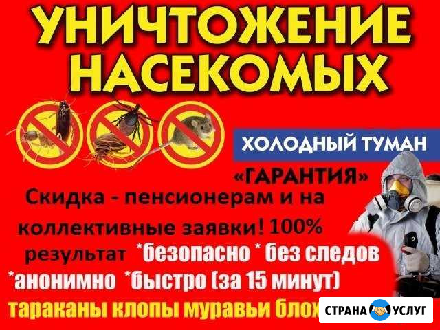 Уничтожение насекомых всех видов Ставрополь - изображение 1