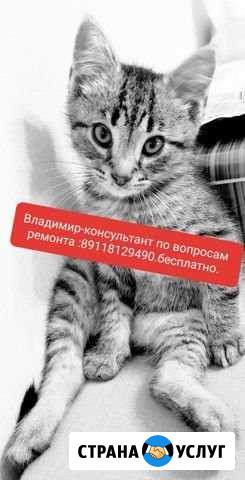 Отделочные работы Петергоф,Стрельна,Ломоносов Ломоносов - изображение 1