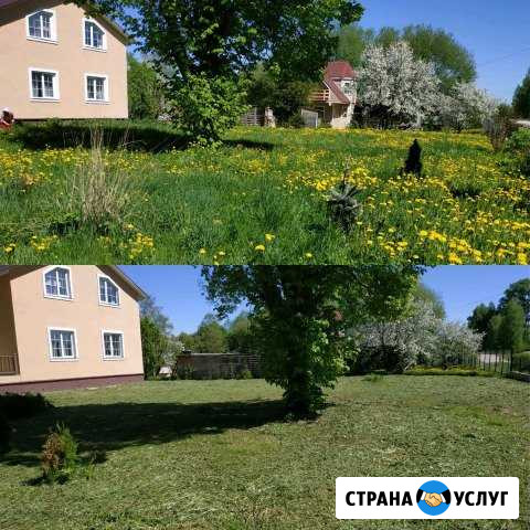 Покос травы, помощь по хозяйству Волоколамск - изображение 1