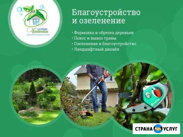 Спил деревьев / скос травы / благоустройство Воронеж - изображение 1