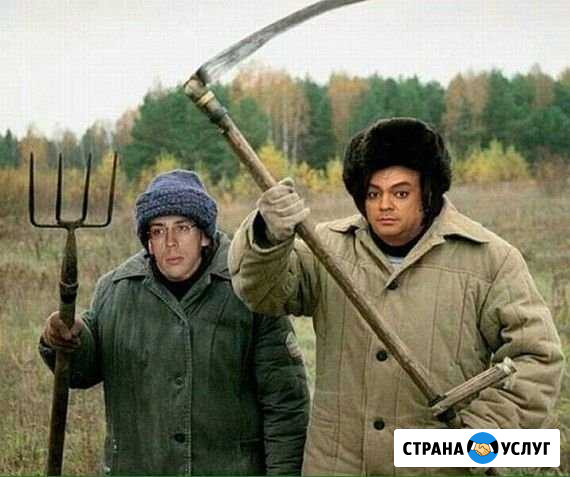 Разнорабочие гр.РФ Волхов - изображение 1