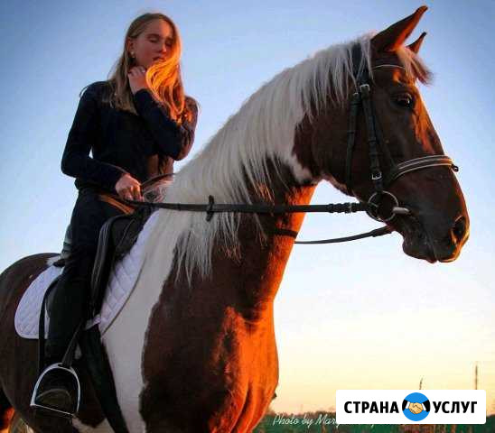 Катание на лошадях. Обучение верховой езде Конюшня Обнинск - изображение 1
