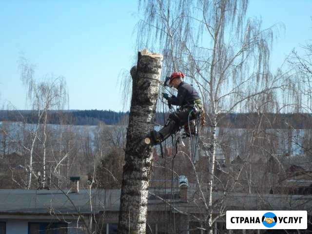 Удаление деревьев,пней и веток Валдай - изображение 1