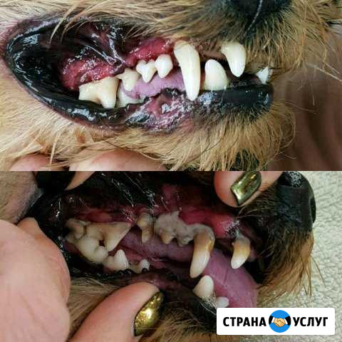 Без наркоза Вязьма - изображение 1