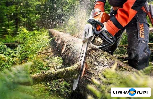 Спил деревьев Абинск - изображение 1