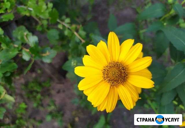 Фотограф Курган - изображение 1