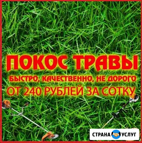 Покос травы Чистополь - изображение 1