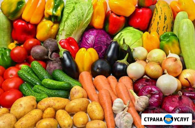 Доставка свежих овощей на дом по красному селу Красное Село - изображение 1