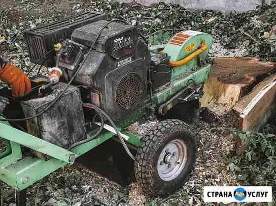 Спил и обрезка деревьев в Курске и области Курск