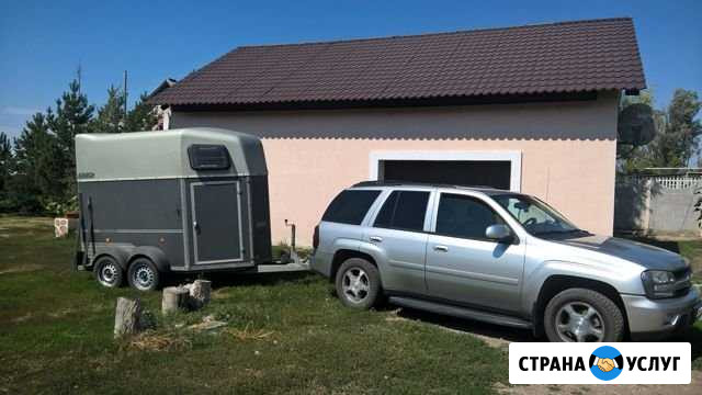 Перевозка для лошадей и коров Красный Яр - изображение 1