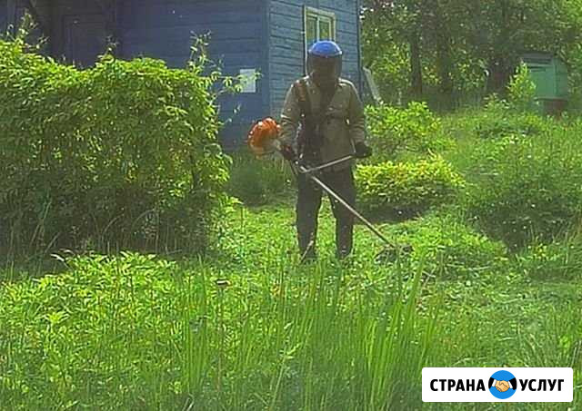 Покос травы Кохма - изображение 1