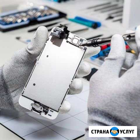 Ремонт техники Apple и другие Славгород - изображение 1