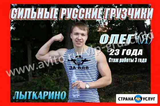 Грузчики Лыткарино