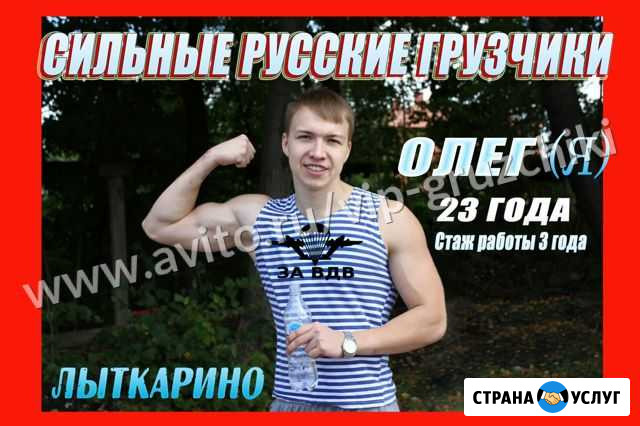 Грузчики Лыткарино - изображение 1