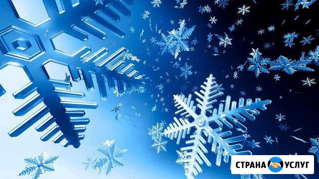 Грузоперевозки реф Новосибирск - изображение 1