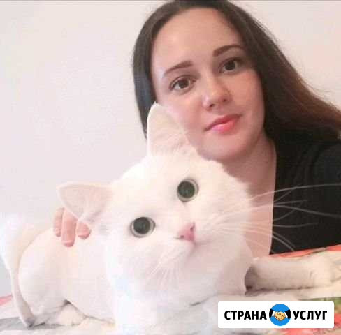 Стрижка кошек Нижневартовск - изображение 1