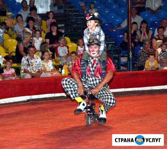 Клоун на детский праздник Воскресенск